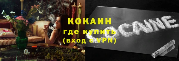 шишки Дмитриев