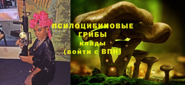 стафф Алзамай