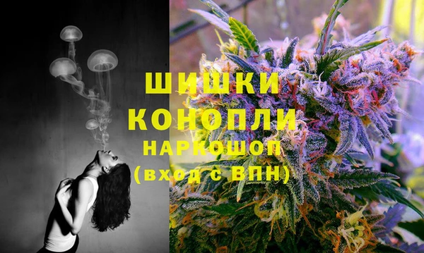 гидра Зеленодольск