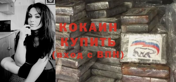 стафф Алзамай