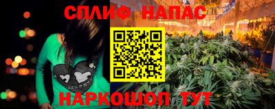 шишки Тулун