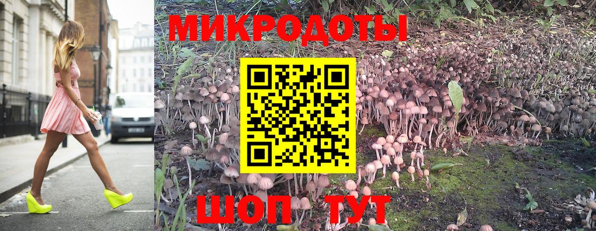 Псилоцибиновые грибы мухоморы Новороссийск