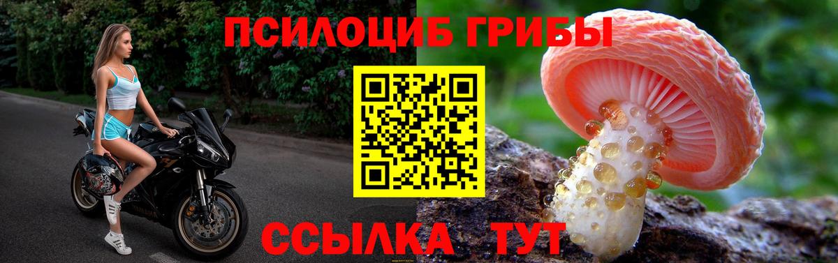 Новороссийск  Псилоцибиновые грибы Cubensis  Вход с VPN  Галлюциногенные грибы прущие грибы 