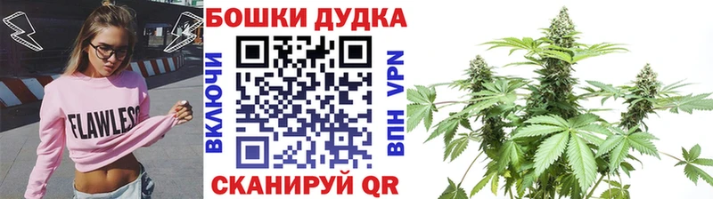 Бошки марихуана VHQ  купить наркотики цена  Новороссийск 